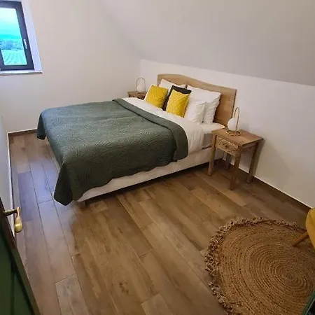 Martinus Vendeghaz Daire