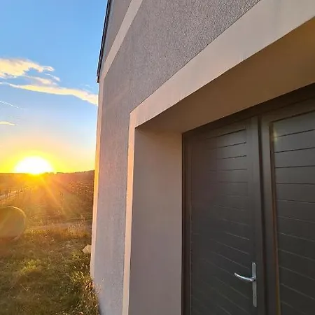 Martinus Vendeghaz Daire *